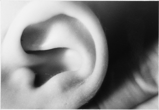 ear